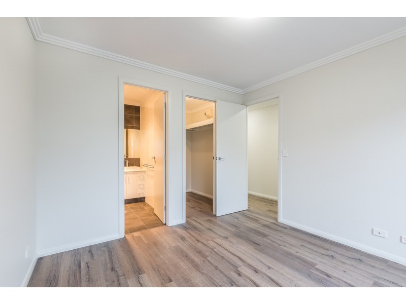 11B Palumbo Avenue, Newton SA 5074