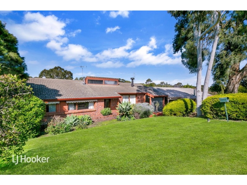 56 Torresan Crescent, Flagstaff Hill SA 5159