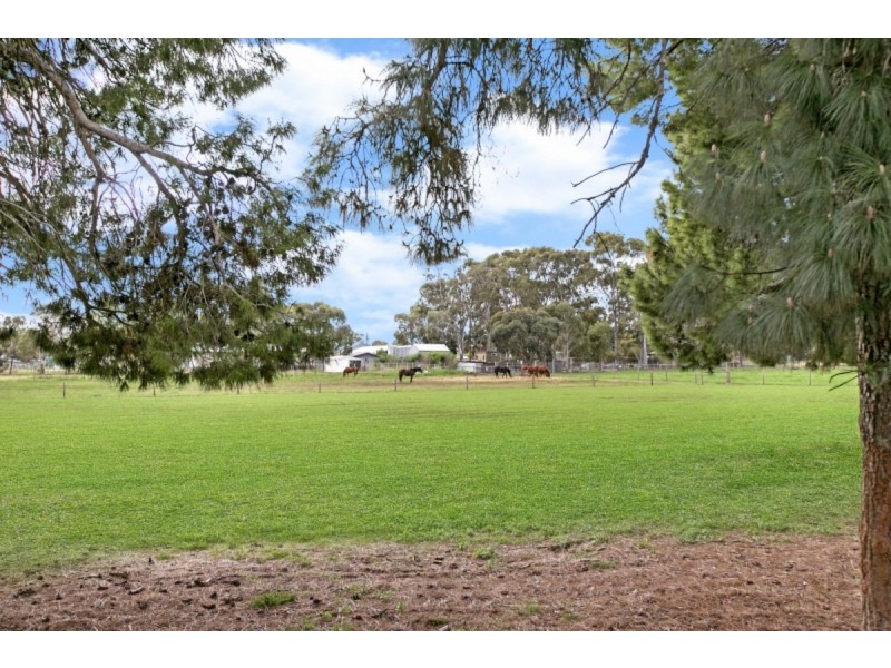 12 Kitchener Street, Netherby SA 5062