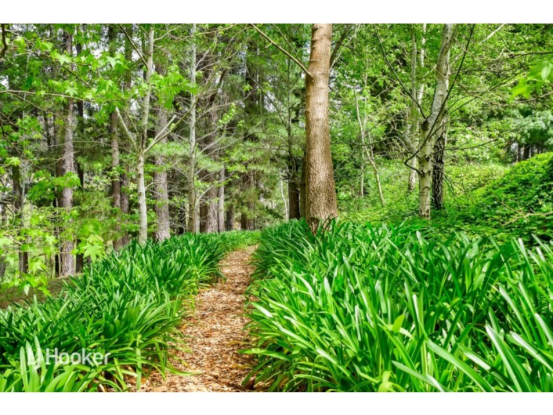 45 Wissell Street, Bridgewater SA 5155