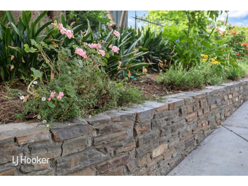 17 Wilaroo Avenue, Beaumont SA 5066