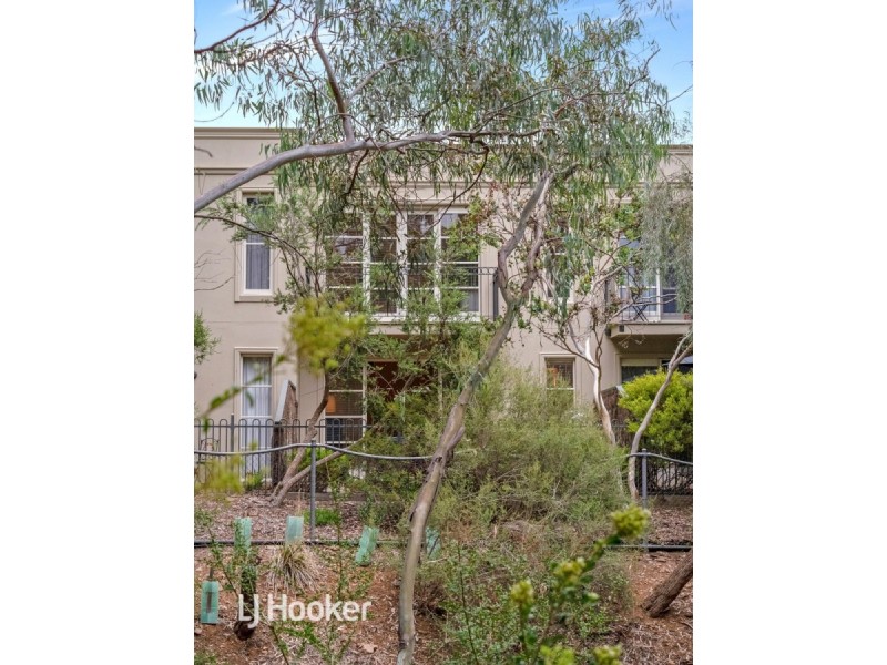 6/59 Bridge Street, Kensington SA 5068