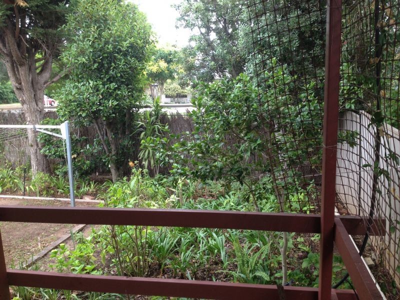 8 Primrose Terrace, Rosslyn Park SA 5072