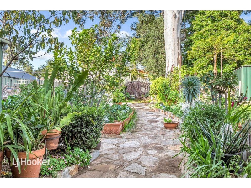 14 Oakleigh Avenue, Magill SA 5072