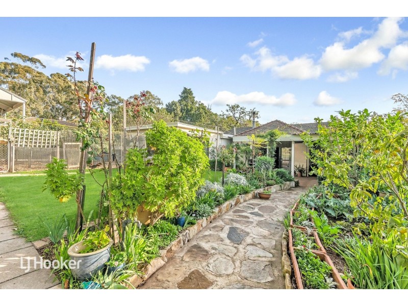 14 Oakleigh Avenue, Magill SA 5072