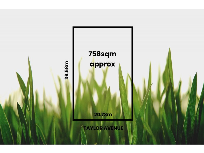 1 Taylor Avenue, Payneham SA 5070