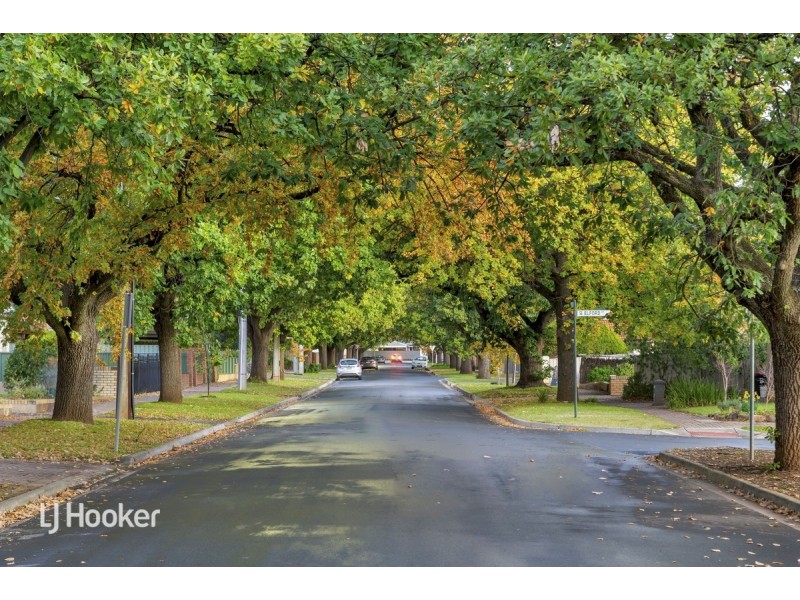 2/428 Magill Road, Kensington Gardens SA 5068