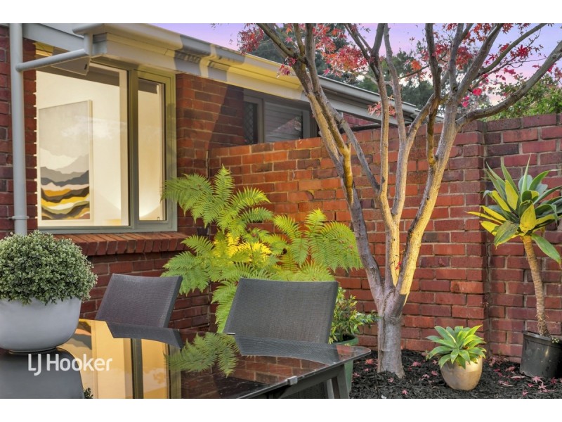 2/428 Magill Road, Kensington Gardens SA 5068