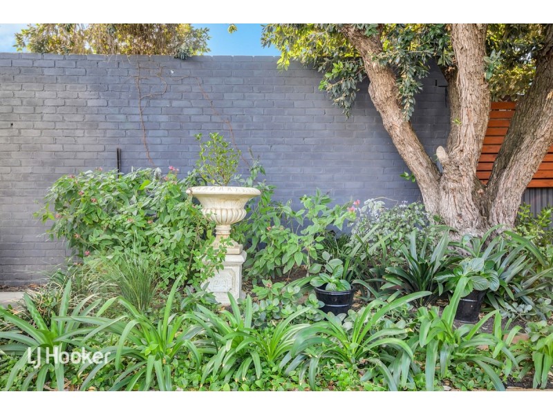 23 Clifford Street, Ascot Park SA 5043