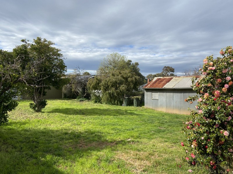 4 Canterbury Avenue, Trinity Gardens SA 5068