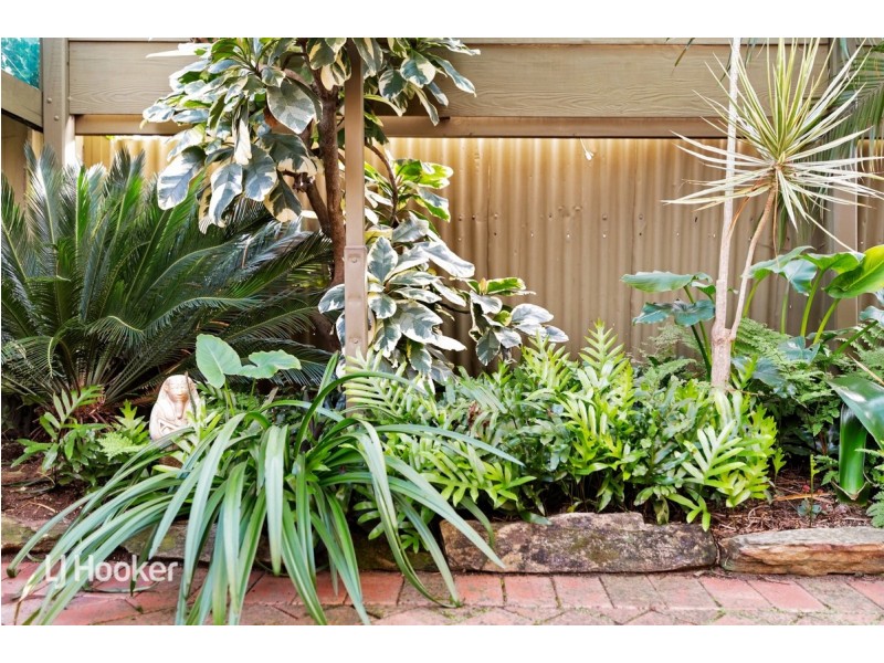 13 Margaret Street, Norwood SA 5067