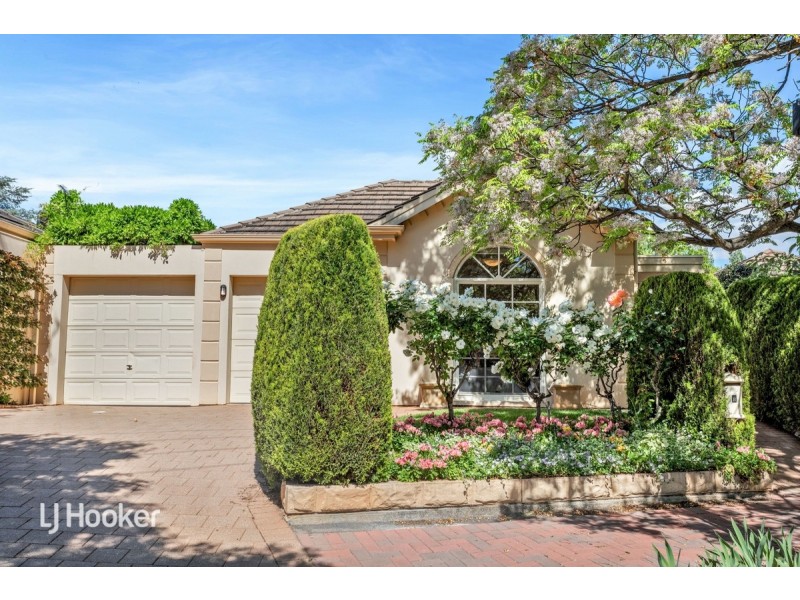 10B Hewitt Avenue, St Georges SA 5064