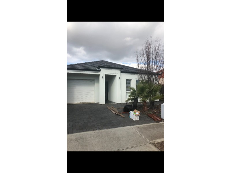 5A McArthur Avenue, Kurralta Park SA 5037