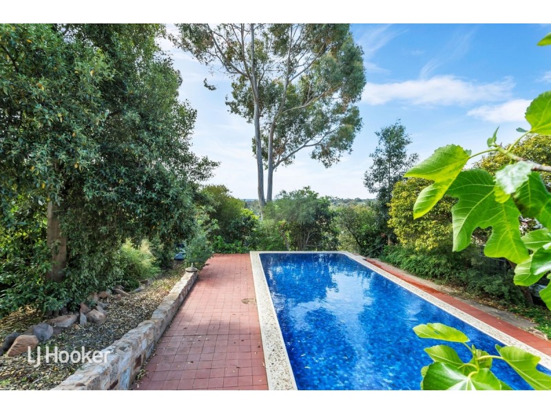 4 Borthwick Court, Beaumont SA 5066