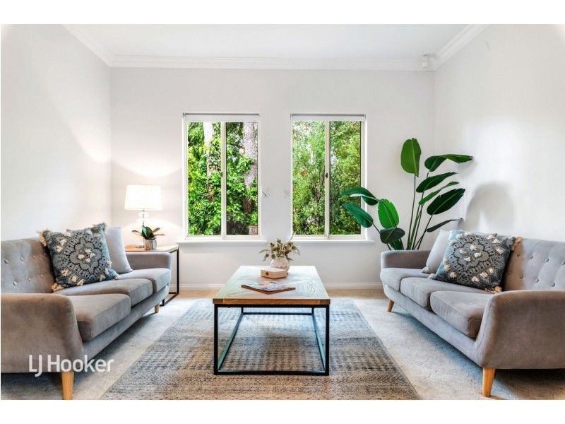 42 Haig Street, Netherby SA 5062