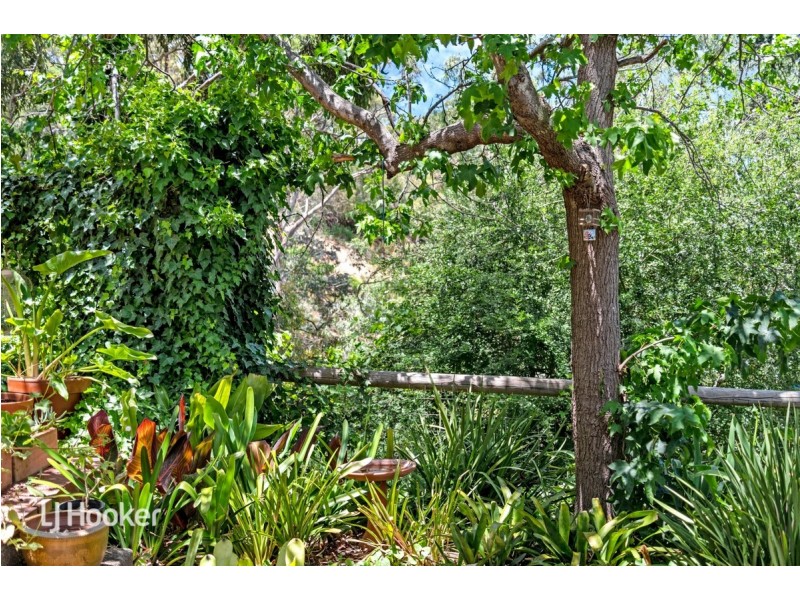 262 Mount Barker Road, Leawood Gardens SA 5150