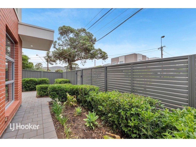 1/53 Ross Road, Hectorville SA 5073