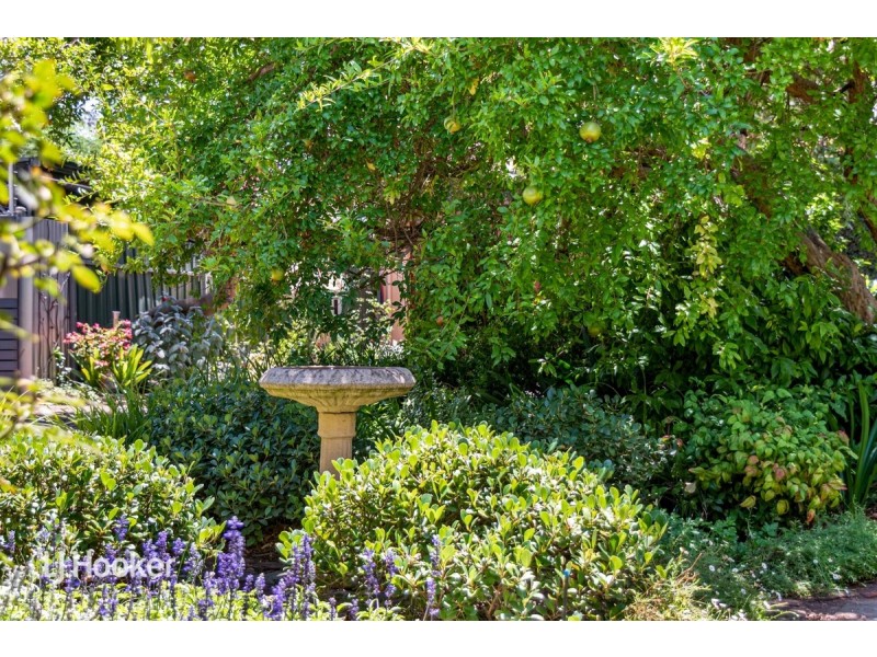 14 Gilbert Street, Norwood SA 5067