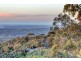 73 Woodland Way, Teringie SA 5072