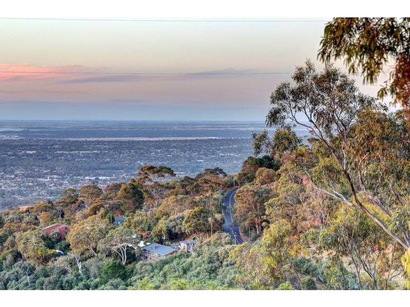 73 Woodland Way, Teringie SA 5072