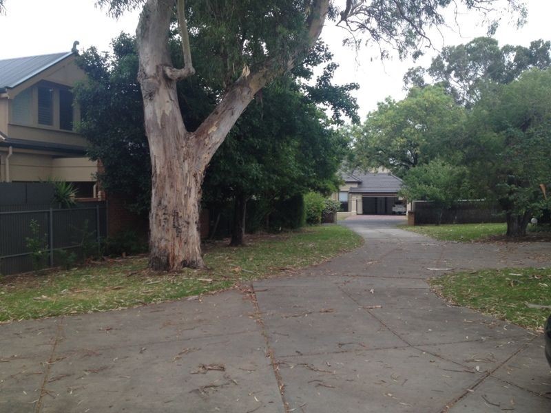 3/6 Bedford Street, Kensington Park SA 5068