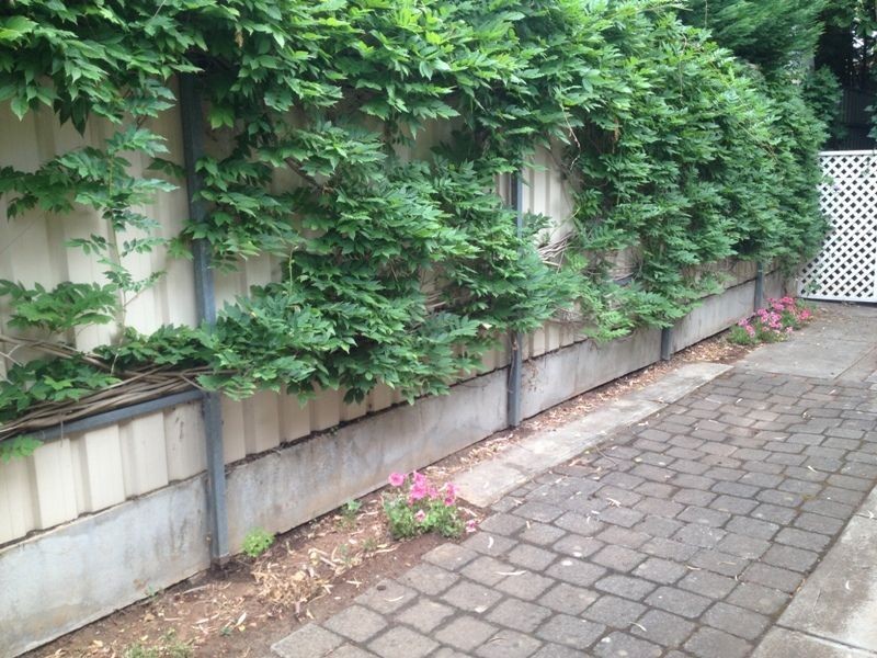 3/6 Bedford Street, Kensington Park SA 5068