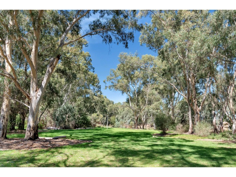 15 Ridgefield, Dernancourt SA 5075