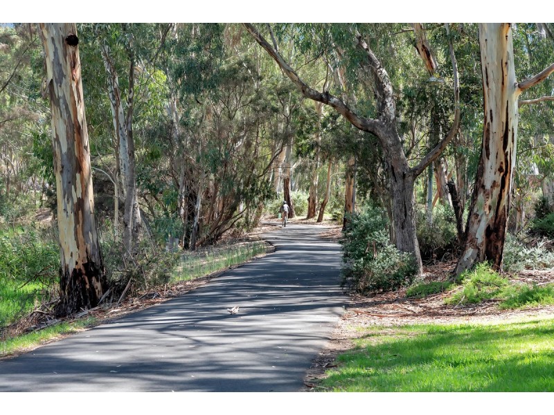 15 Ridgefield, Dernancourt SA 5075