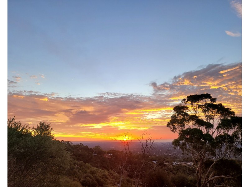 49 Ridgeland Drive, Teringie SA 5072