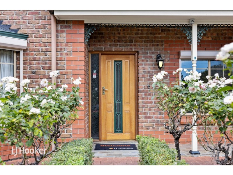 3 Berry Street, Magill SA 5072