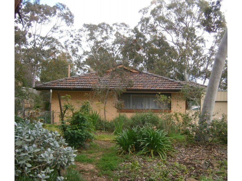 12 Shaw Street, Athelstone SA 5076