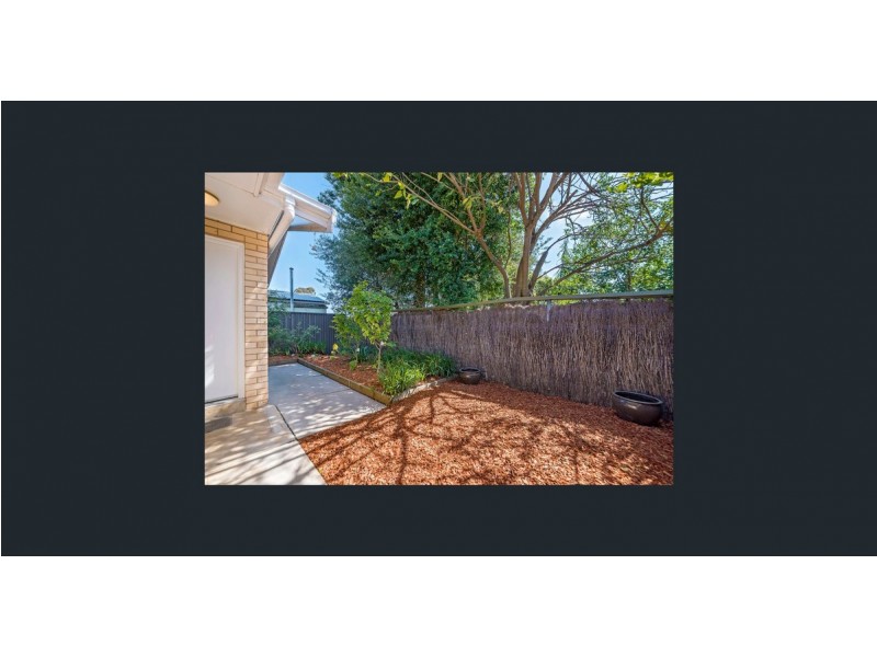5/15 Brigalow Avenue, Kensington Gardens SA 5068