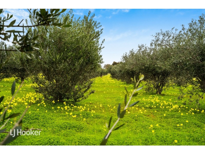 158 River Blocks Road, Yacka SA 5470