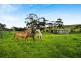 158 River Blocks Road, Yacka SA 5470