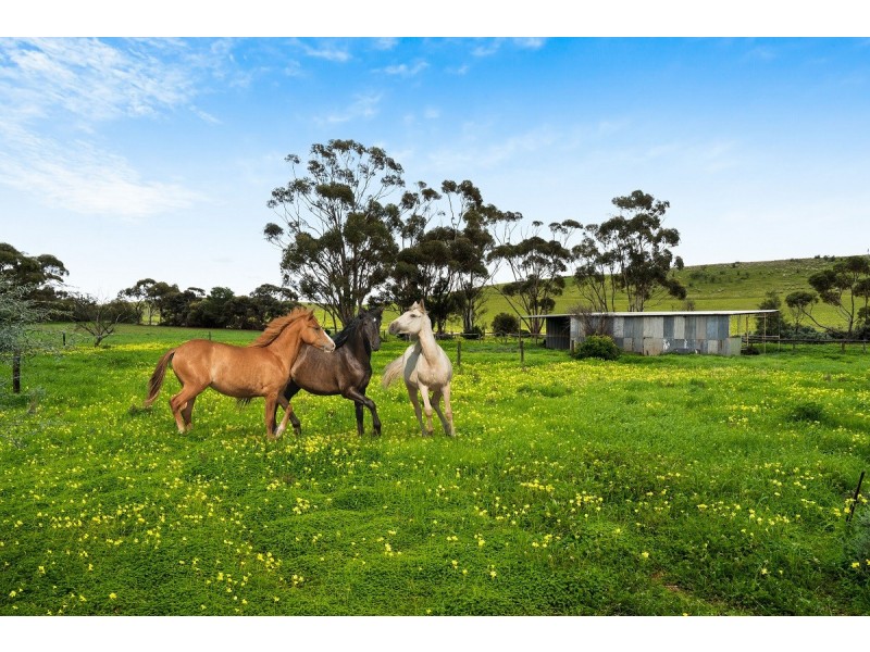158 River Blocks Road, Yacka SA 5470