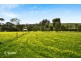 158 River Blocks Road, Yacka SA 5470