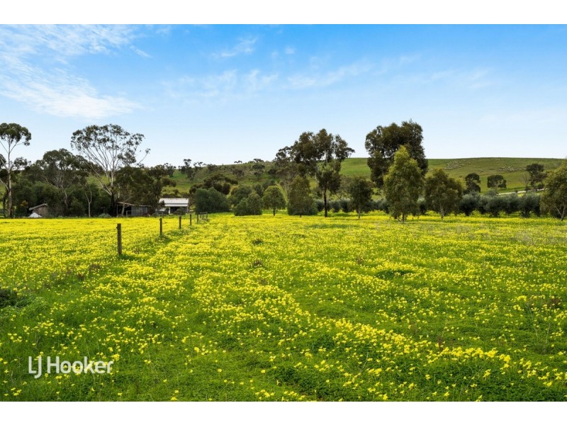 158 River Blocks Road, Yacka SA 5470