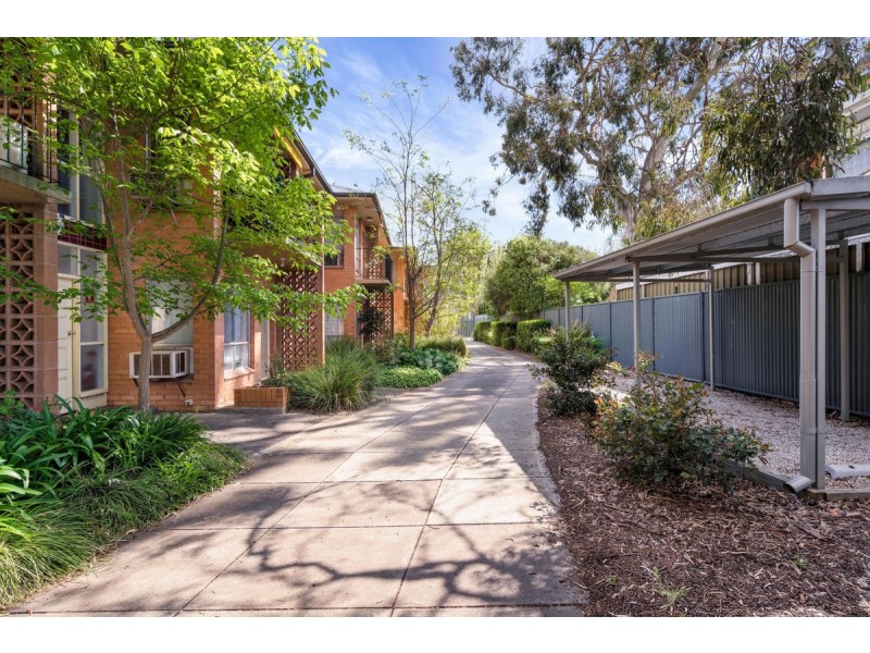 8/29 Stanley Street, Leabrook SA 5068