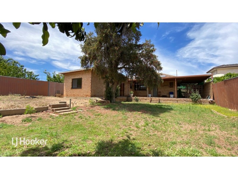 5 Essex Avenue, Clovelly Park SA 5042