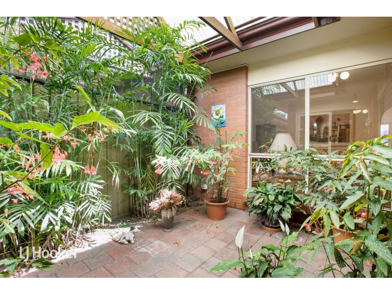 67B Chopin Road, Somerton Park SA 5044