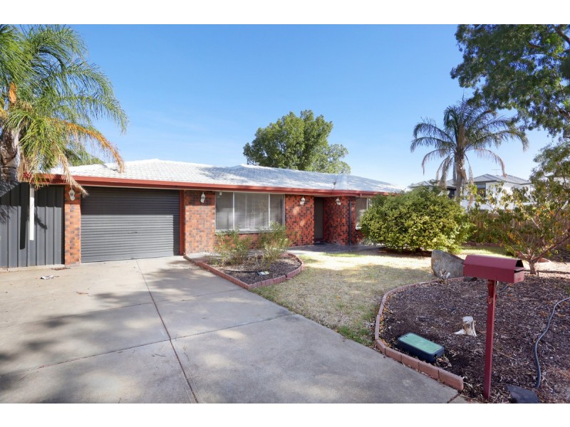 8 Centofanti Avenue, Newton SA 5074