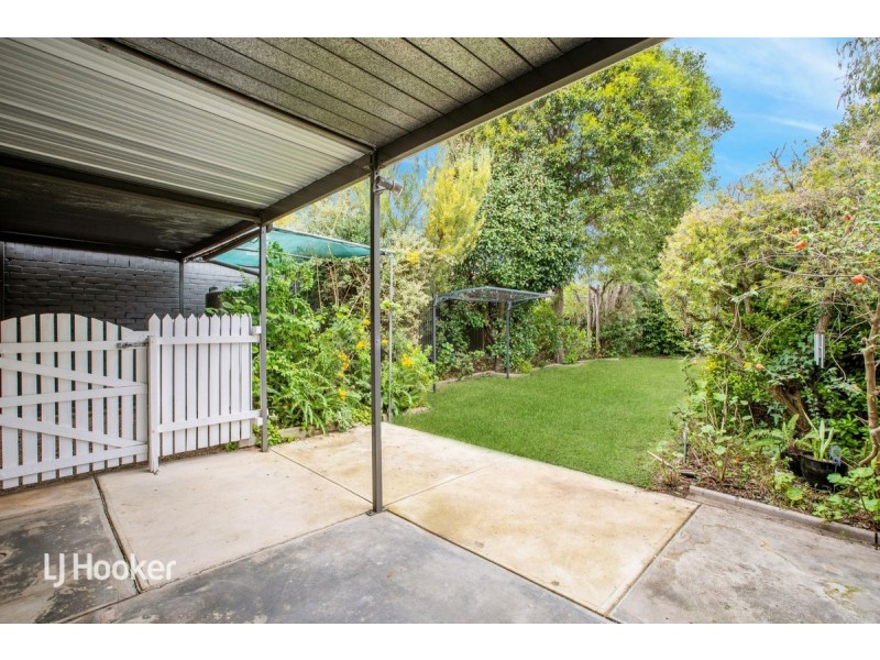 51 Robsart Street, Parkside SA 5063
