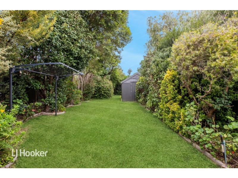 51 Robsart Street, Parkside SA 5063