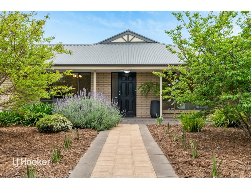 19 Mitchell Street, Seaview Downs SA 5049