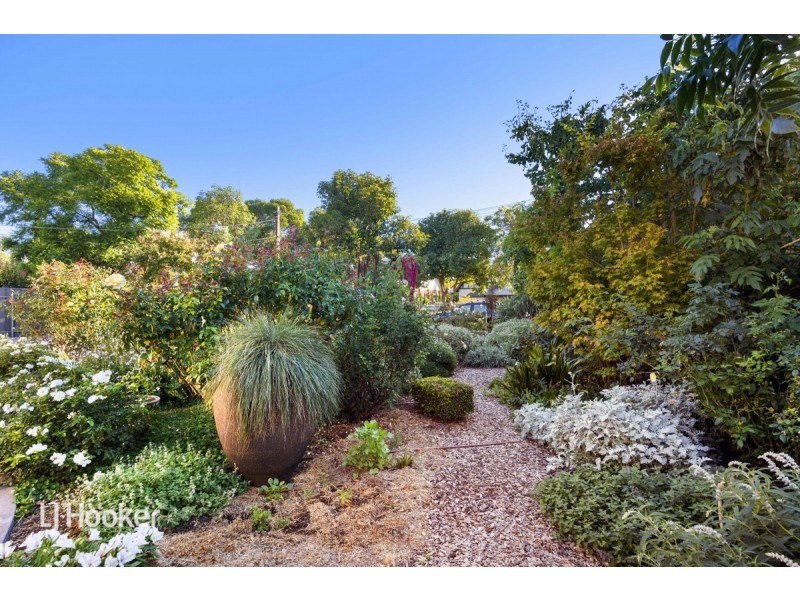 3 Bowillia Avenue, Hawthorn SA 5062