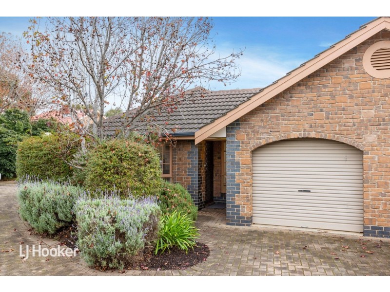 6/6 Sunglo Court, Teringie SA 5072