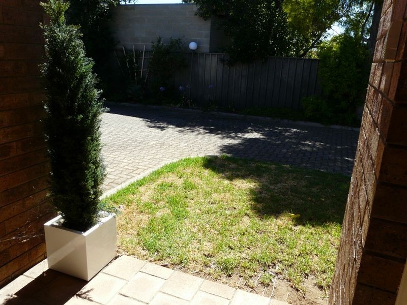 3/2 Burton Street, Richmond SA 5033