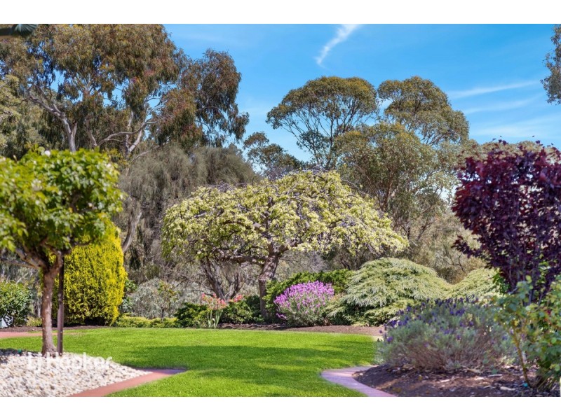 6 Kingfisher Circuit, Flagstaff Hill SA 5159