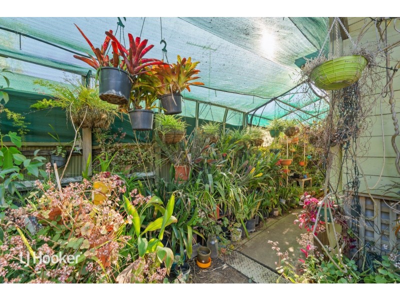 25 Wahroonga Avenue, Valley View SA 5093