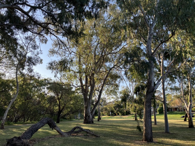 25 Wahroonga Avenue, Valley View SA 5093